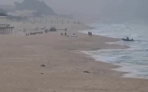 Zikim