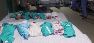 bebe Gaza