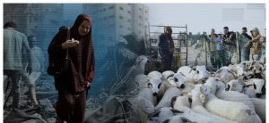 Barajm gaza