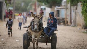 Gaza magarac