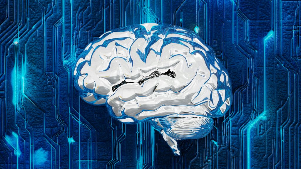 IQ, brain