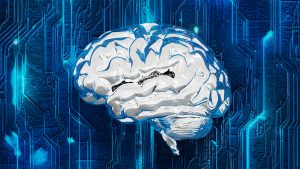 IQ, brain