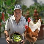 „Naša hrana iz naših ruku“: Gaza pokreće život iz pepela