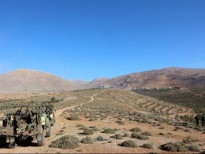 IDF Kunejtra