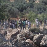 Ramala: Naseljenici ukrali 300 ovaca i napali Palestinca u Kafr Maliku