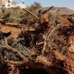 Haaretz: Izrael maršira uzdignute glave prema međunarodnom sudu u Haagu