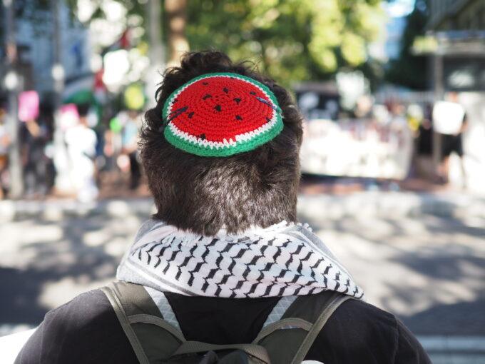 propalestinski jew