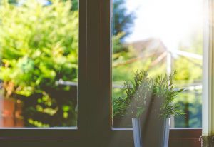 window_sun